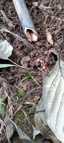 wx_camera_1674201795922.jpg