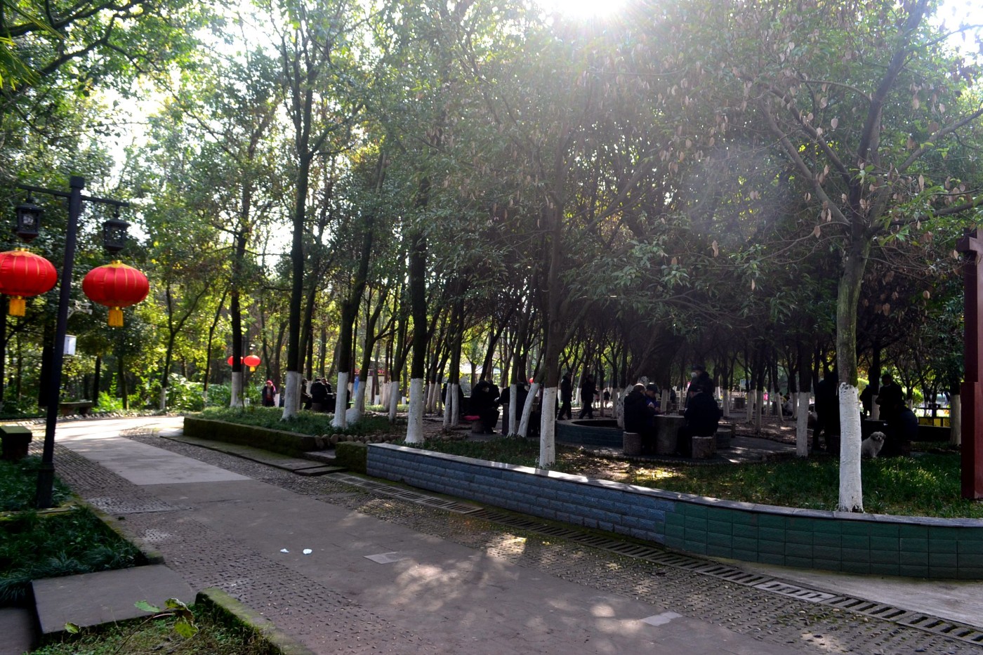 DSC_7665.JPG