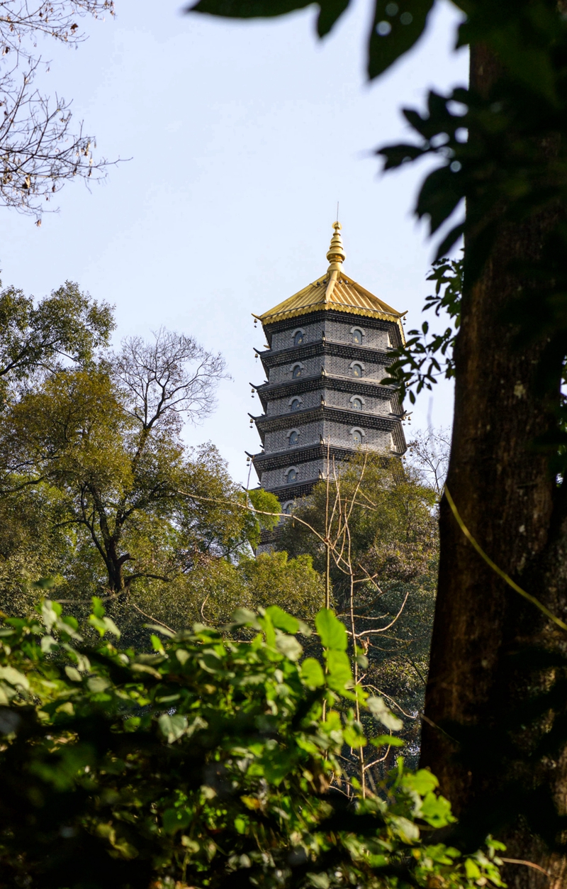 上虞般若寺图片