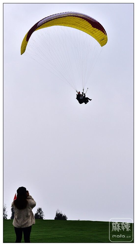 DSC_9464.jpg