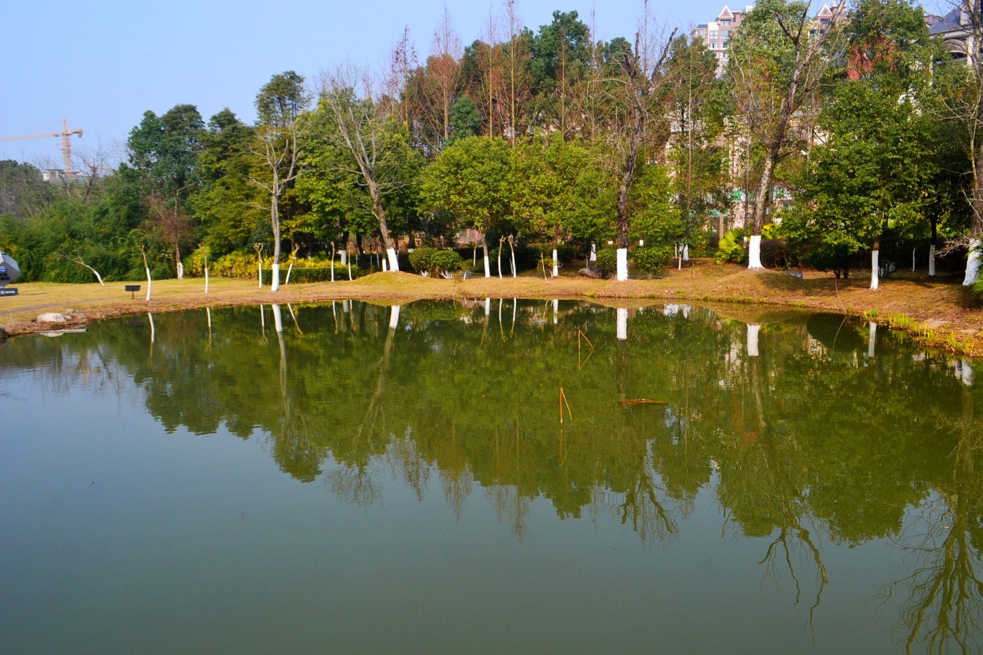DSC_7472.JPG
