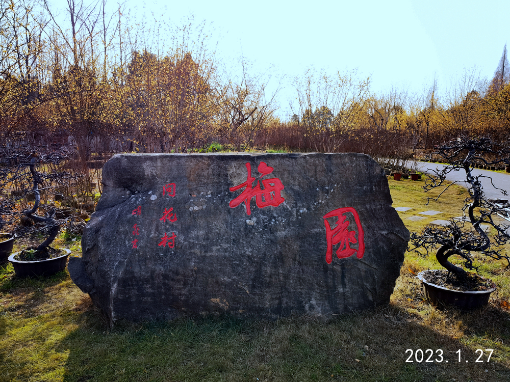 IMG_20230127_105207_.jpg
