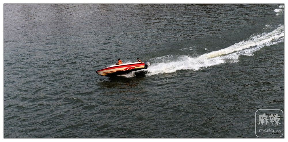 DSC_4473.jpg