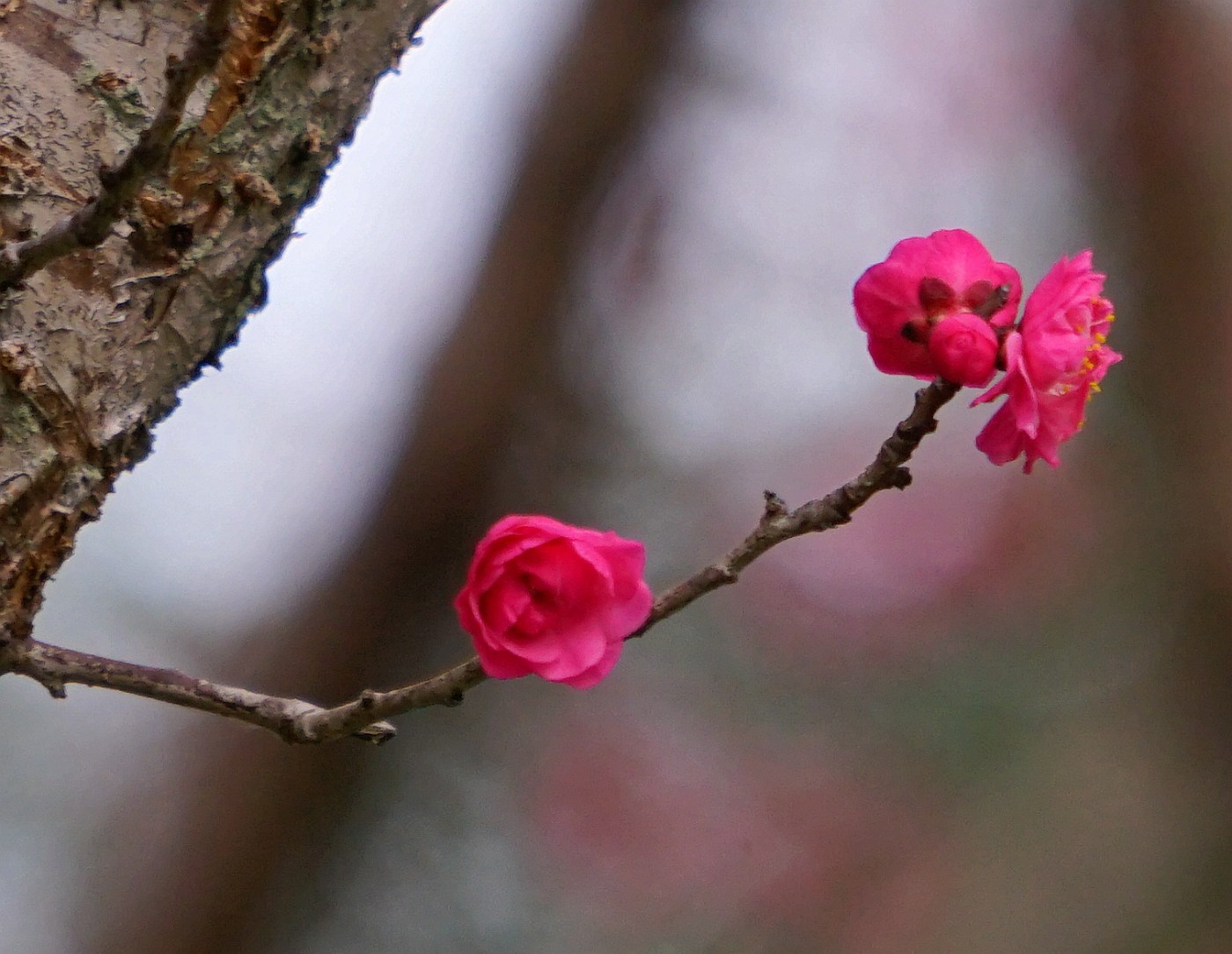 DSC07743_.jpg