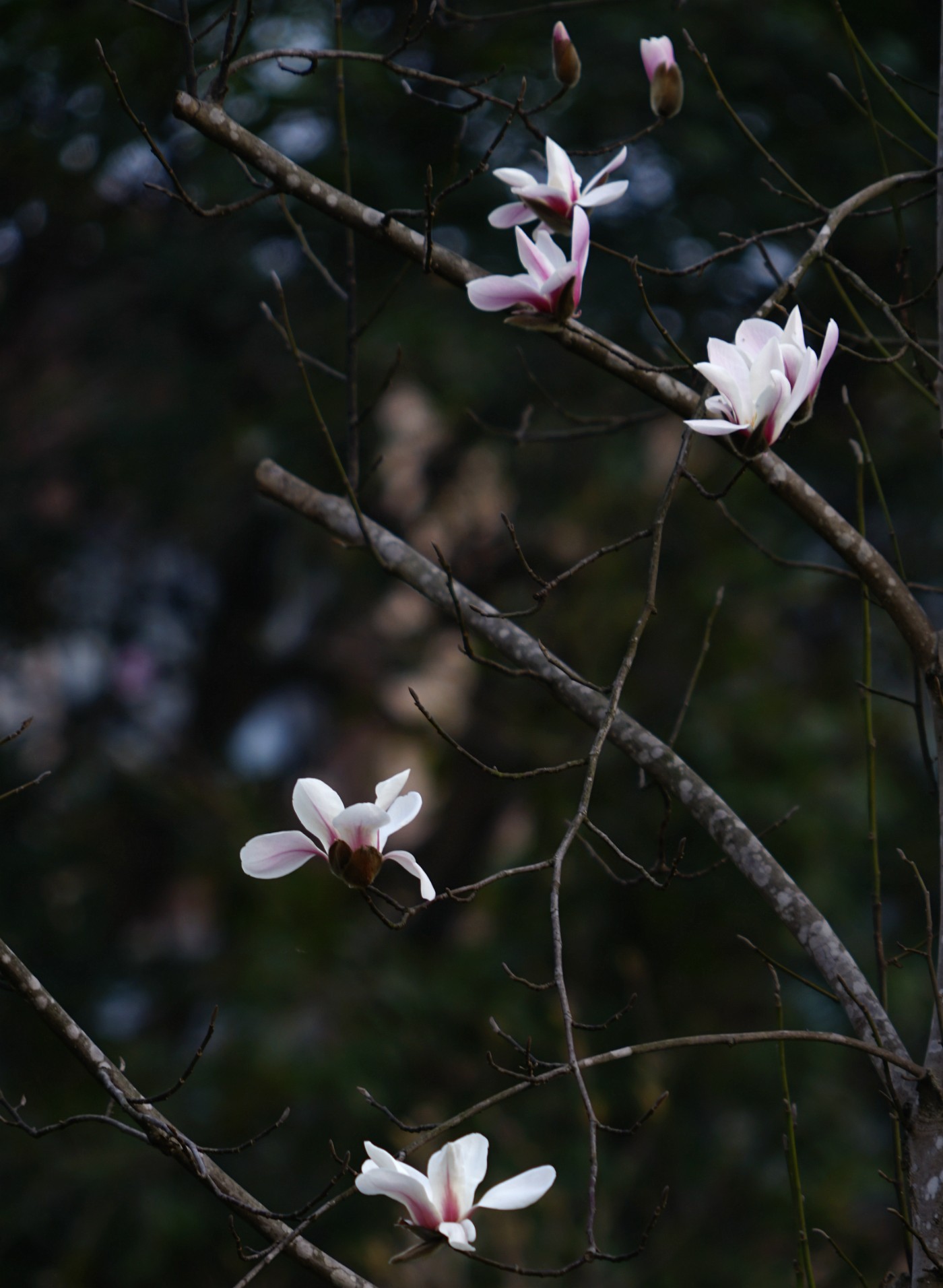 DSC07707_.jpg