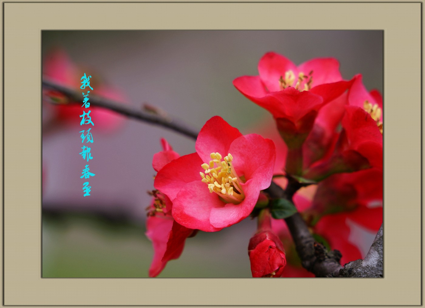 DSC07807_.jpg