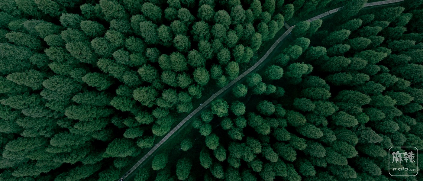 ΢ͼƬ_20230220102356.png