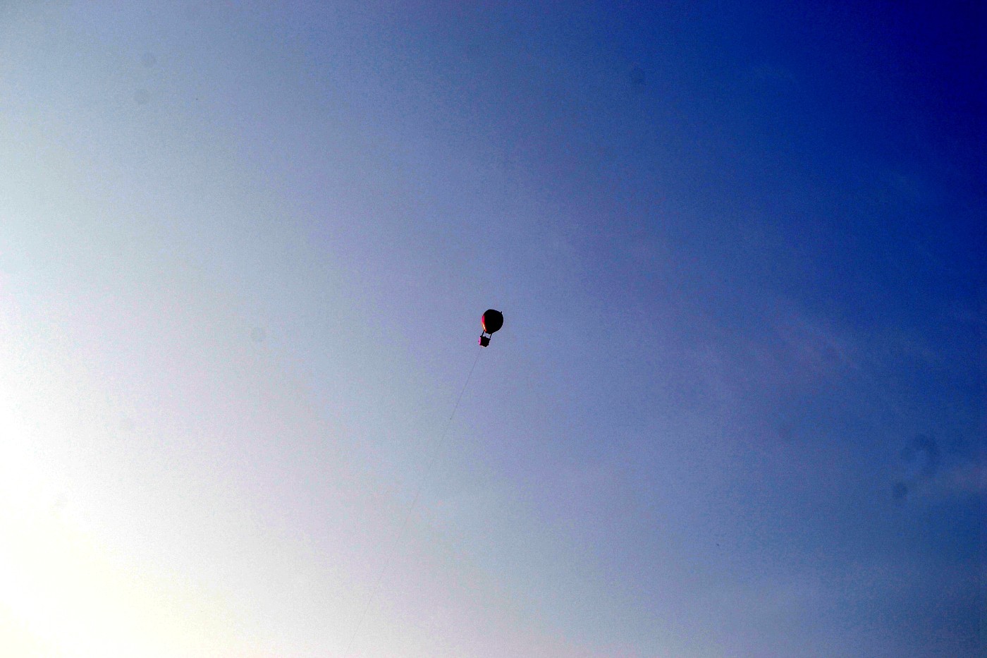 DSC_7953.JPG