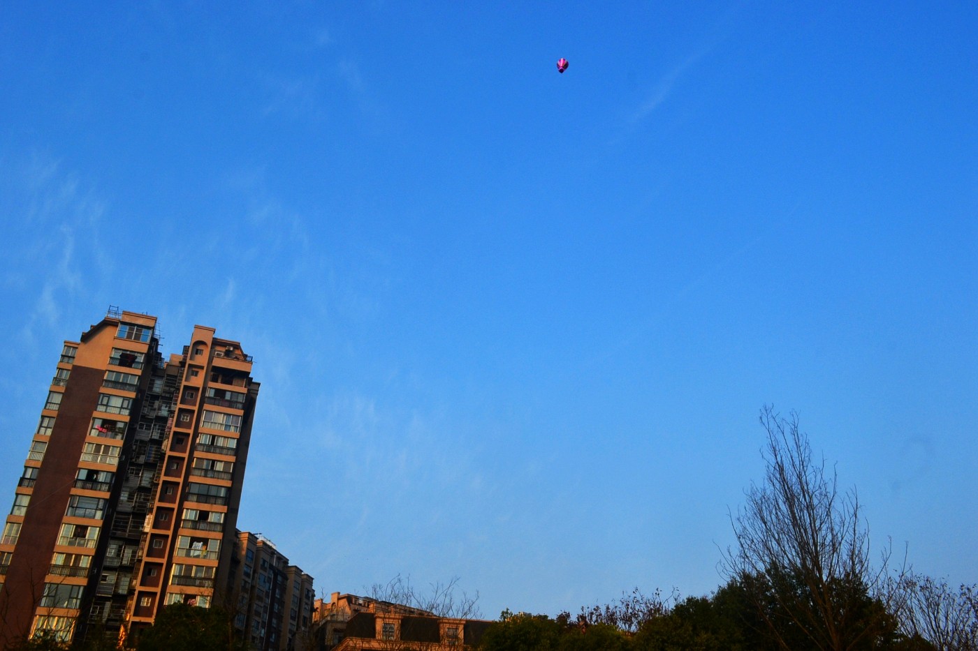 DSC_7956.JPG