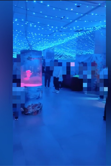 QQͼƬ20230225215803.png