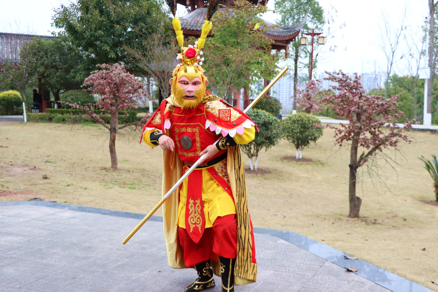 IMG_7572_.jpg