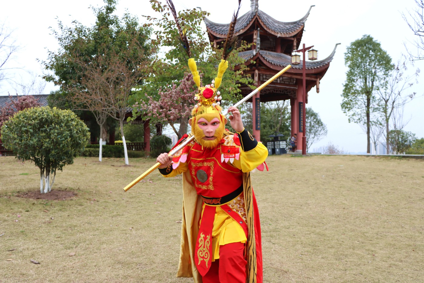 IMG_7656_.jpg