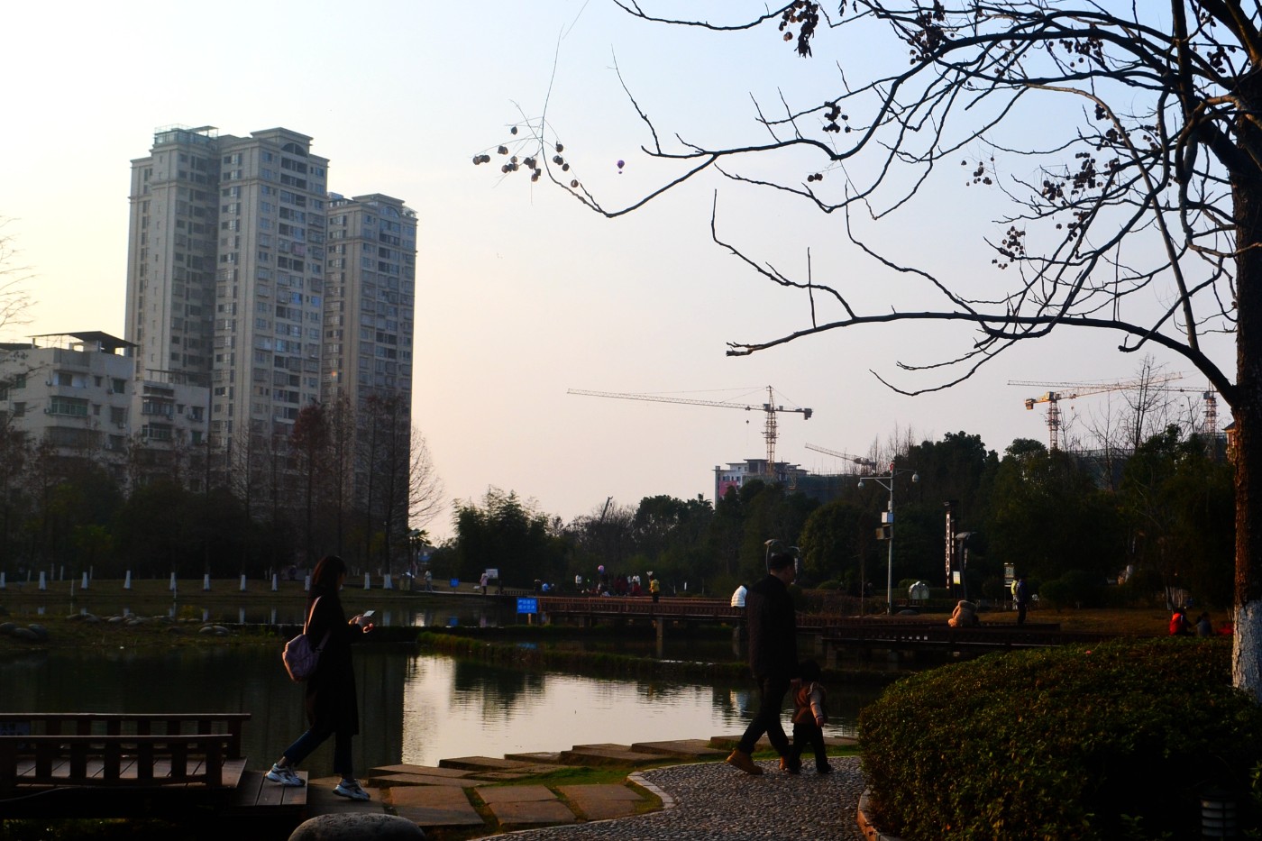 DSC_7952.JPG