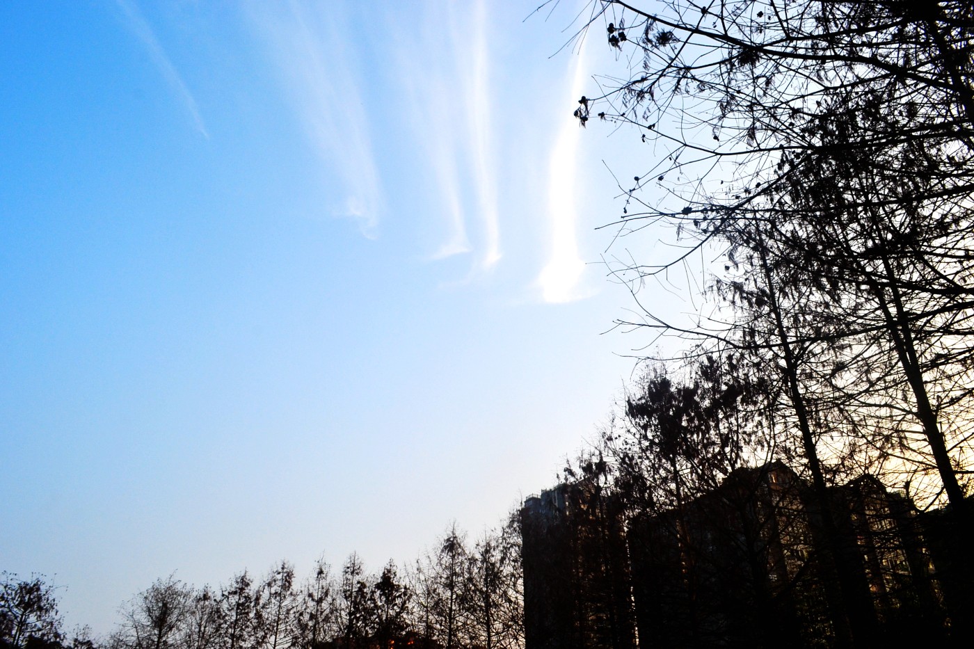 DSC_7966.JPG