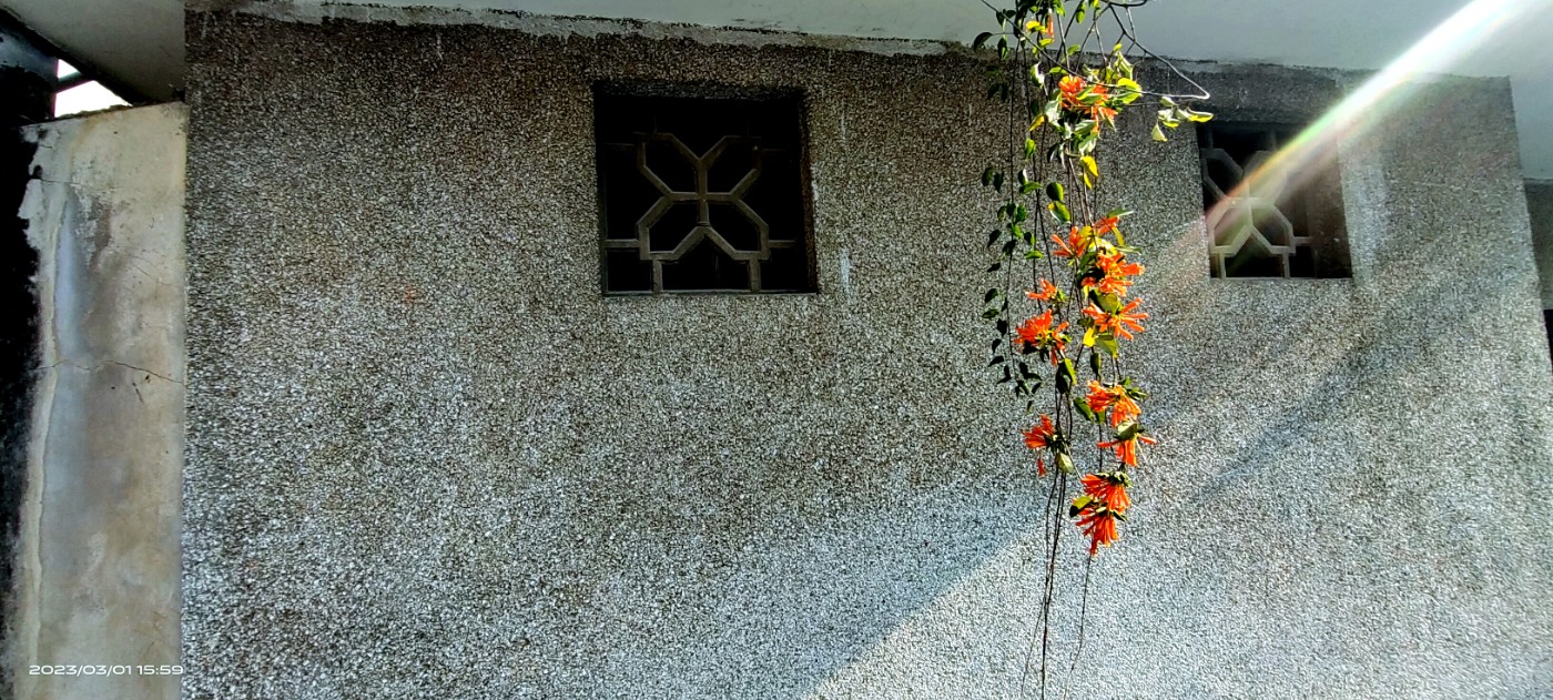 ΢ͼƬ_20230303065535.jpg