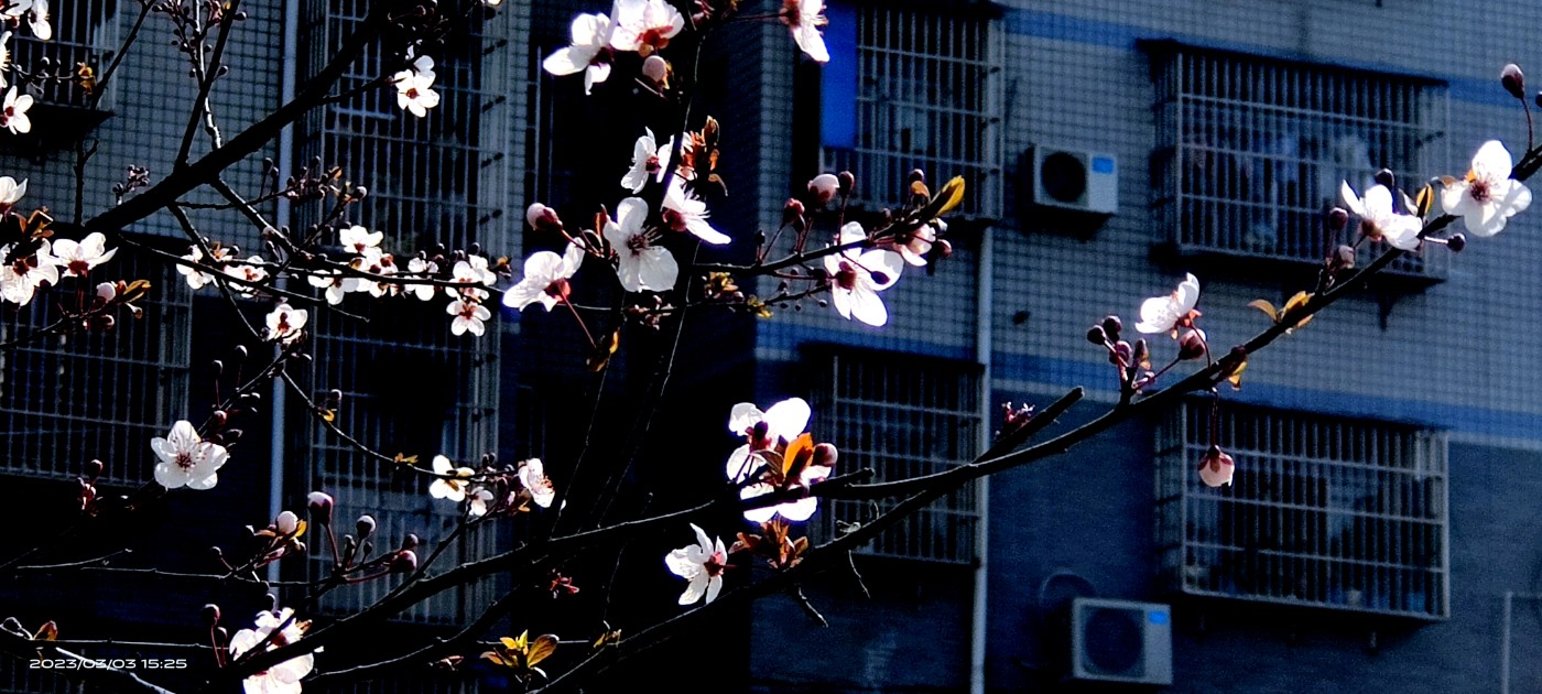 ΢ͼƬ_20230303181604.jpg