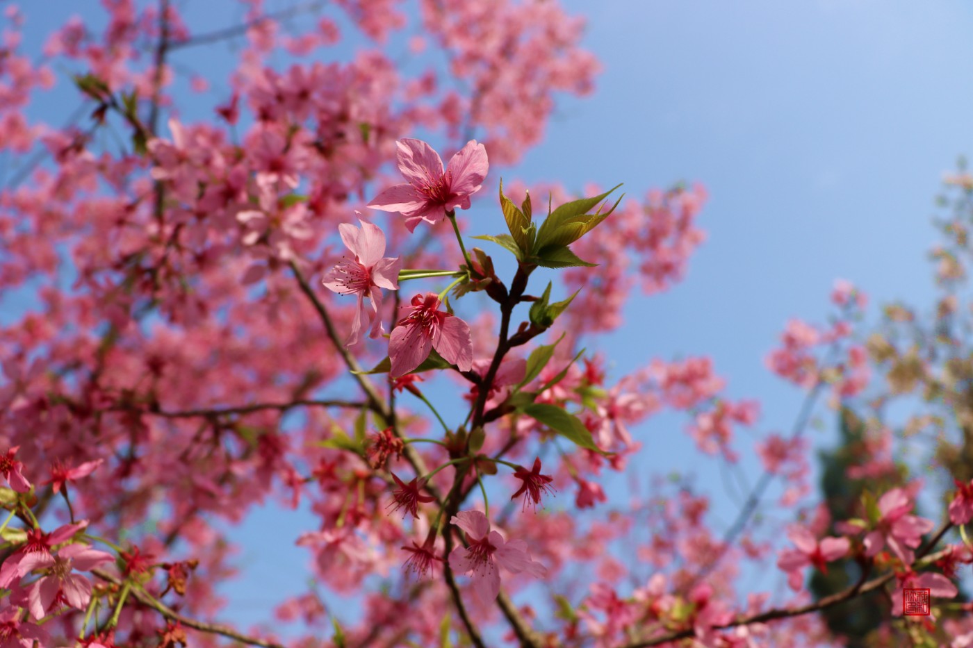 00IMG_0049.jpg