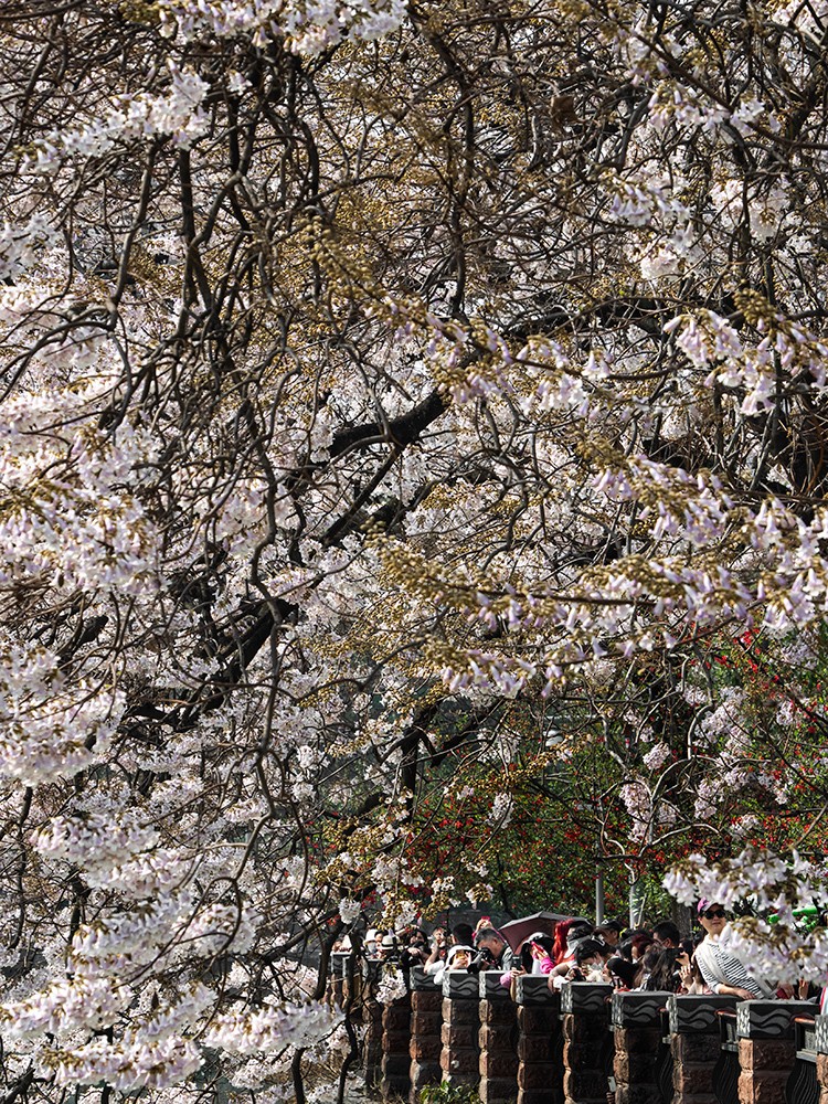 P3080374ab.jpg