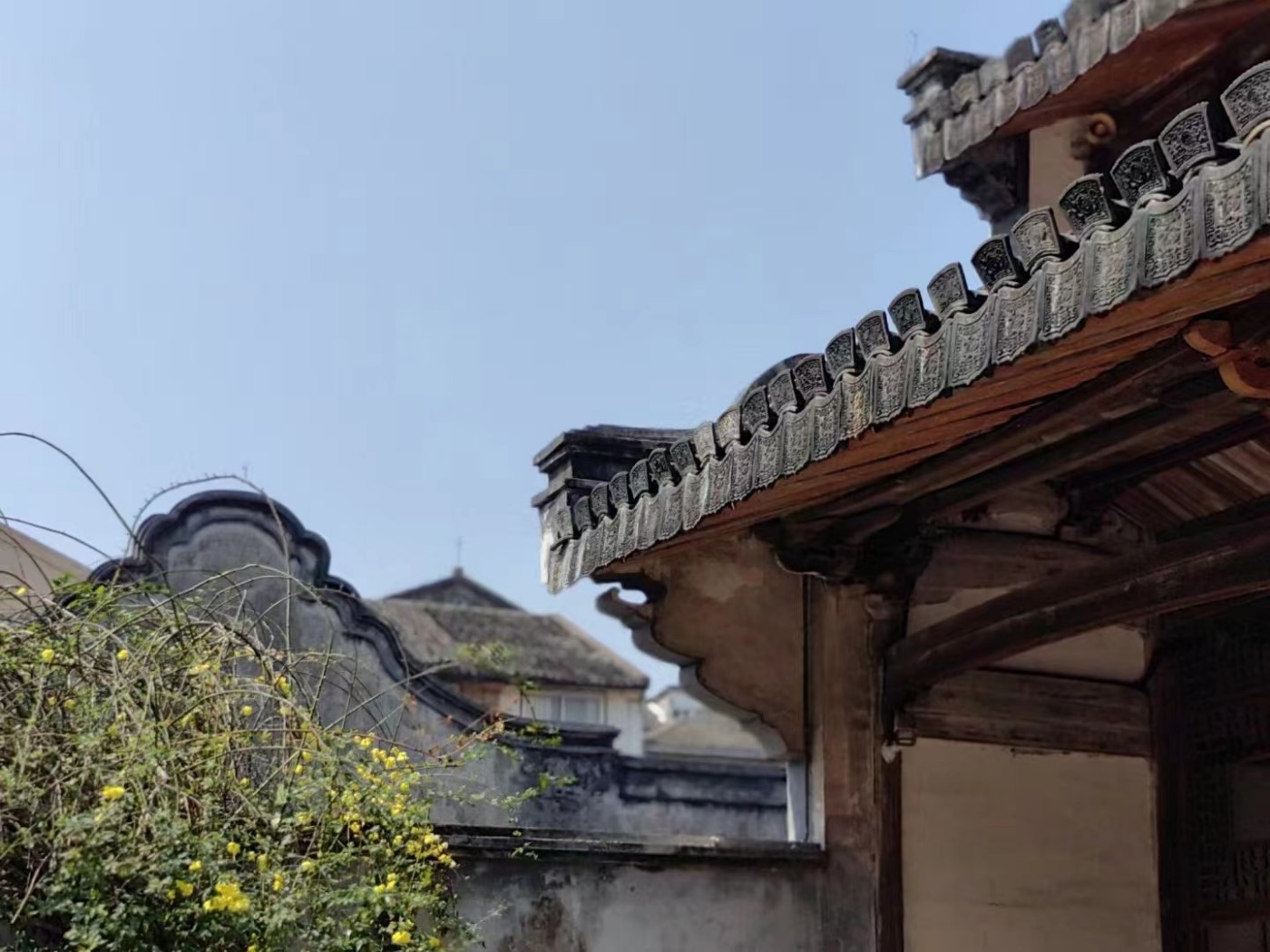 WeChat DƬ_20230315143411.jpg