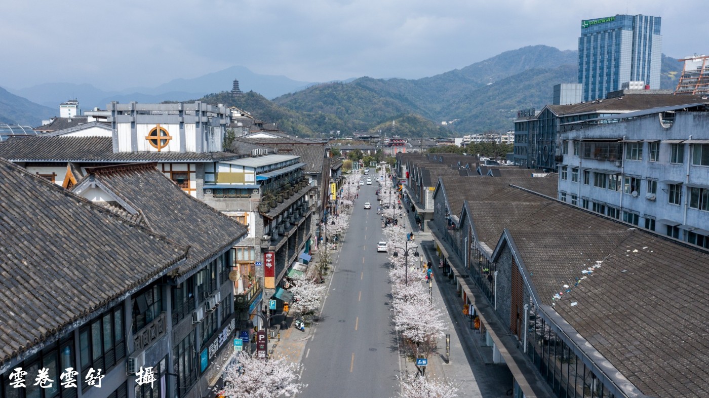 都江堰太平街事件图片