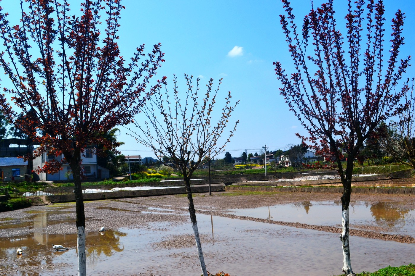 DSC_8391.JPG