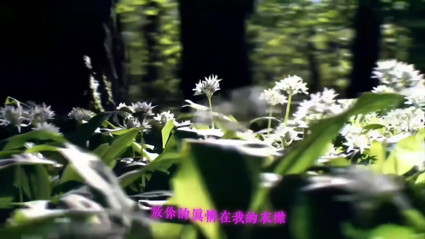 ҵ Ҷ 3.jpg