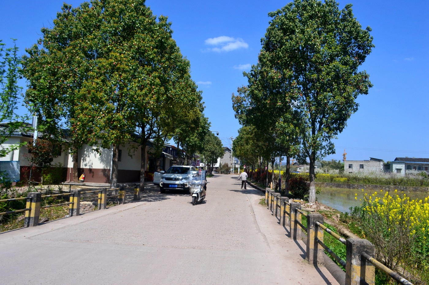 DSC_8398.JPG