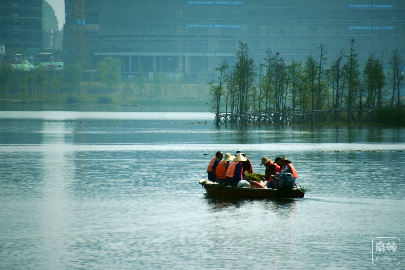 CD1_8629_.jpg
