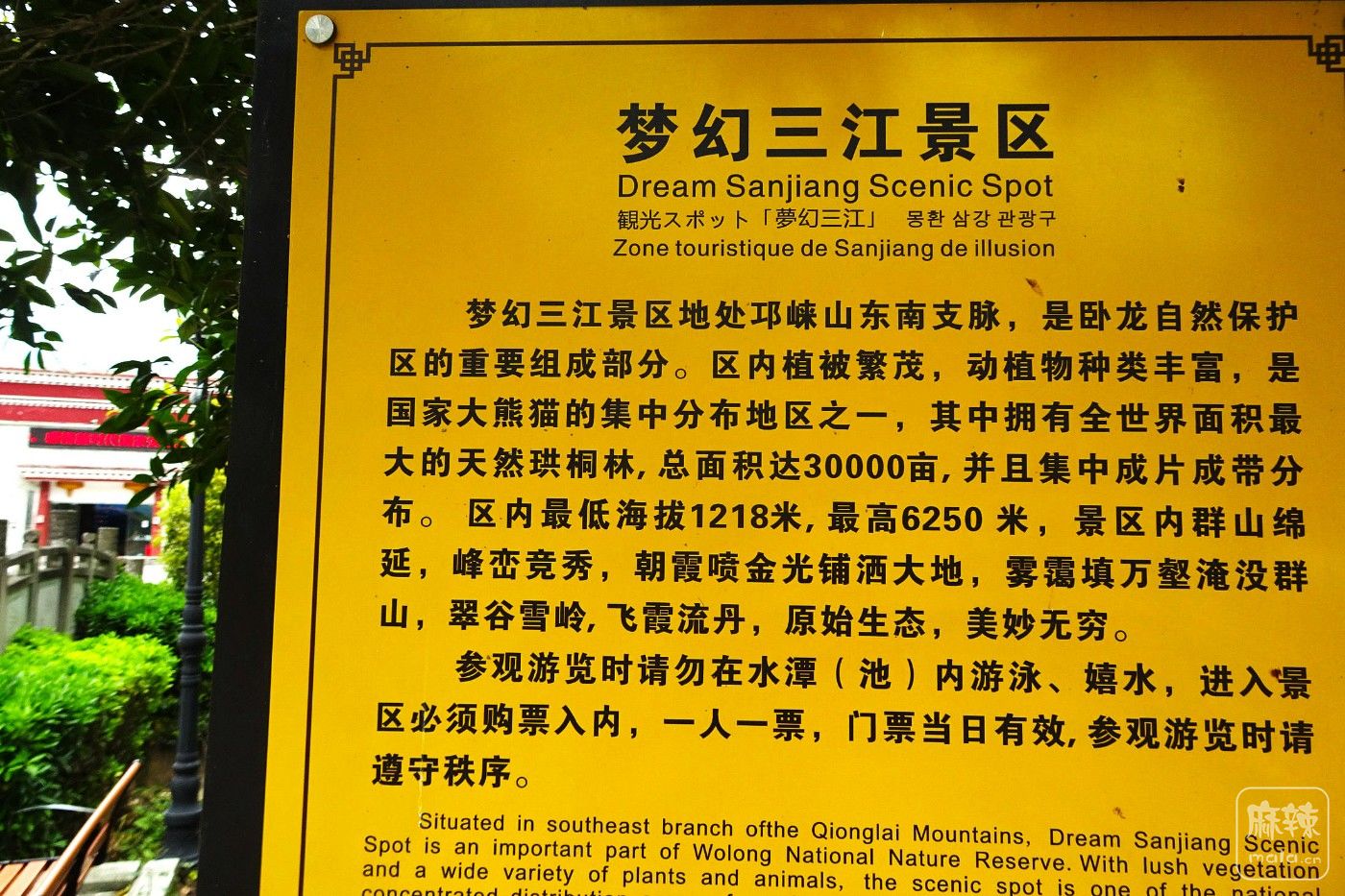 DSC02543.JPG