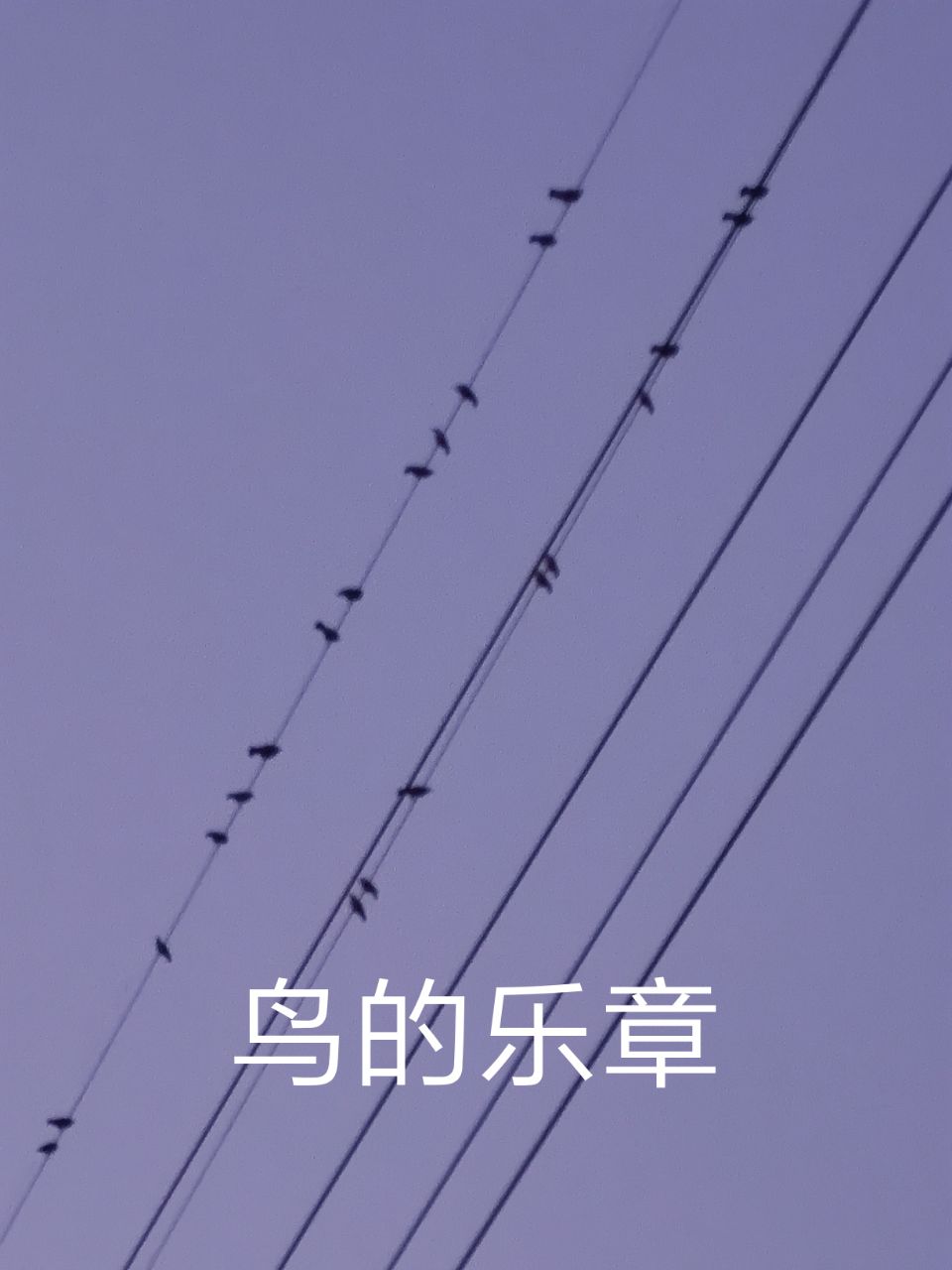 20230423071159front2_0_6080161_FsisLz3_h25IHRWvH3Af4mjoPs5t.jpg