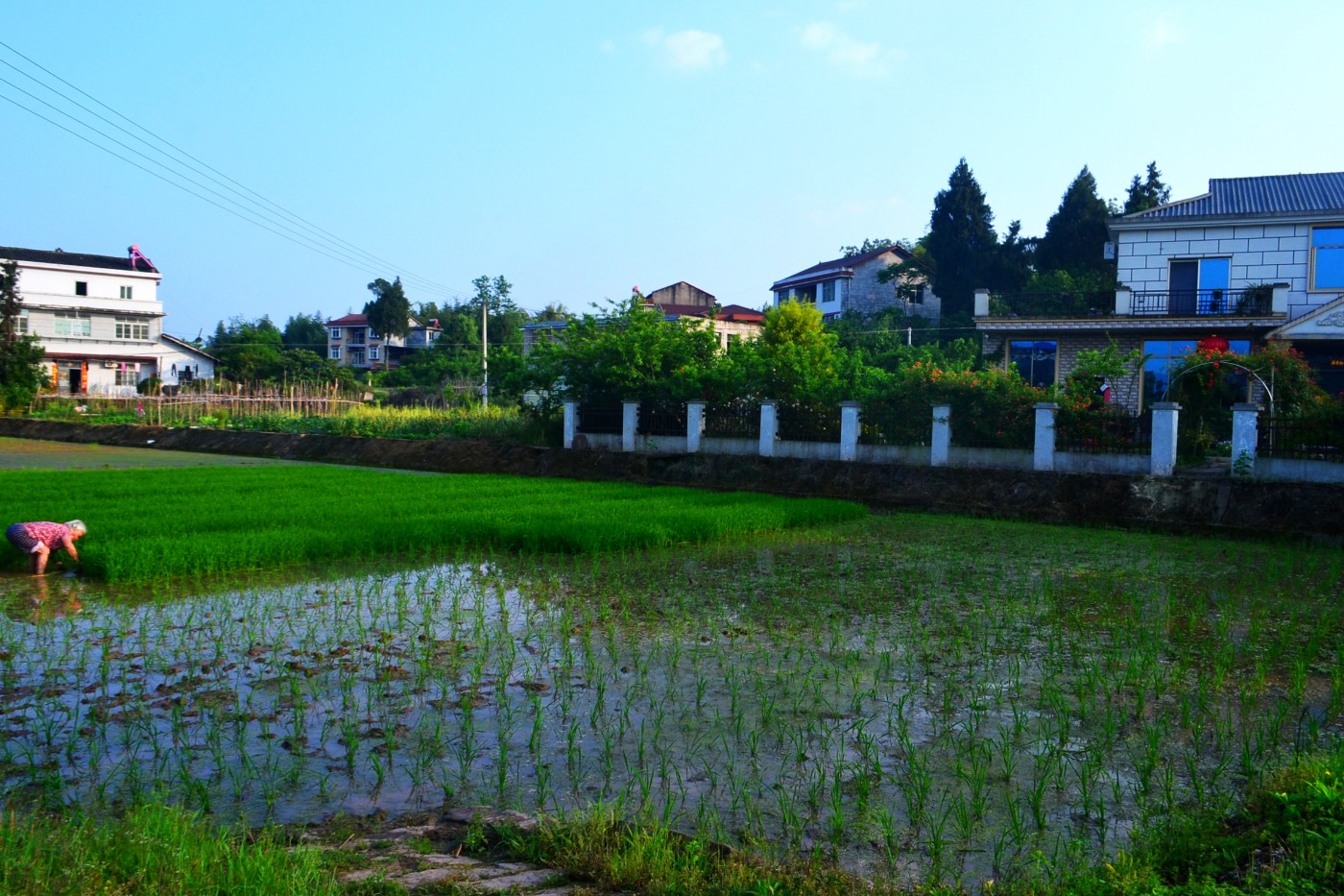 DSC_8780.JPG