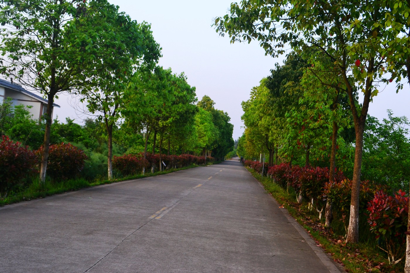 DSC_8841.JPG