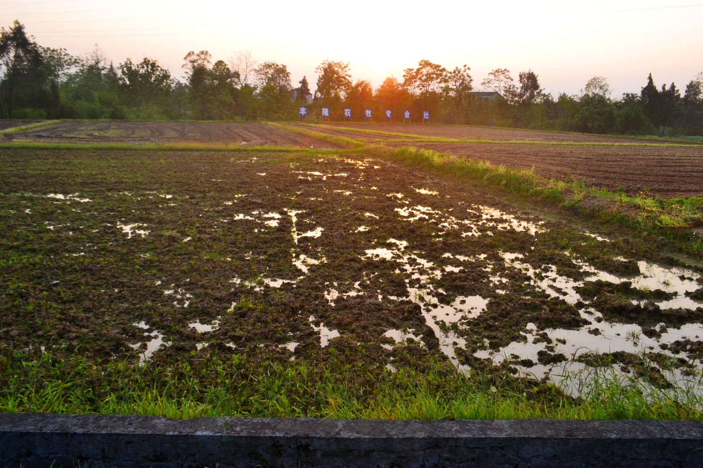 DSC_8845.JPG