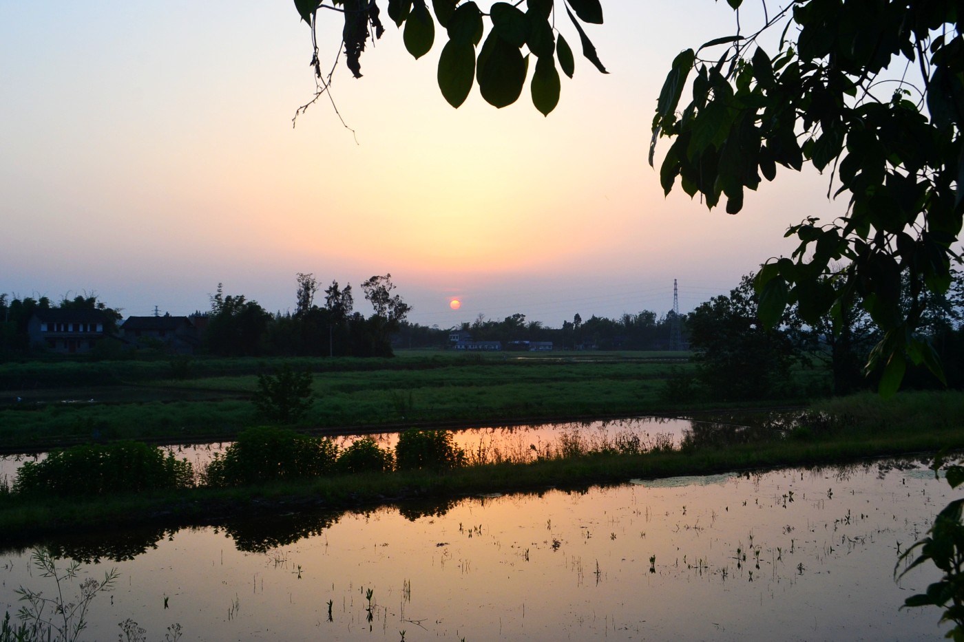 DSC_8858.JPG