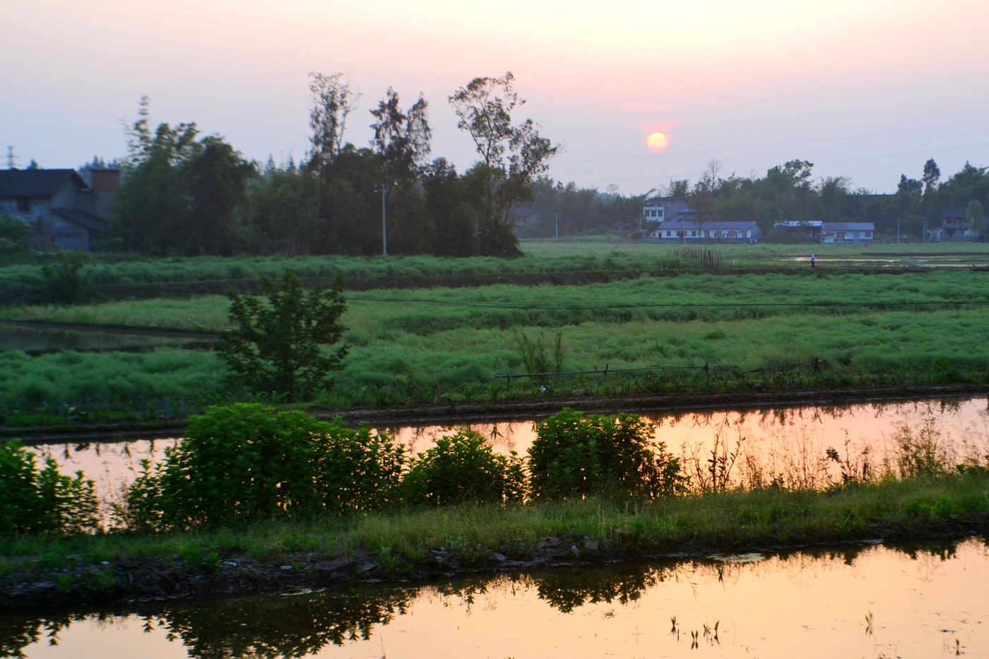 DSC_8859.JPG