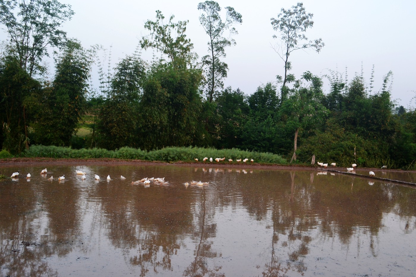 DSC_8861.JPG