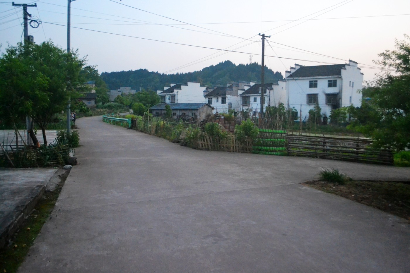 DSC_8879.JPG