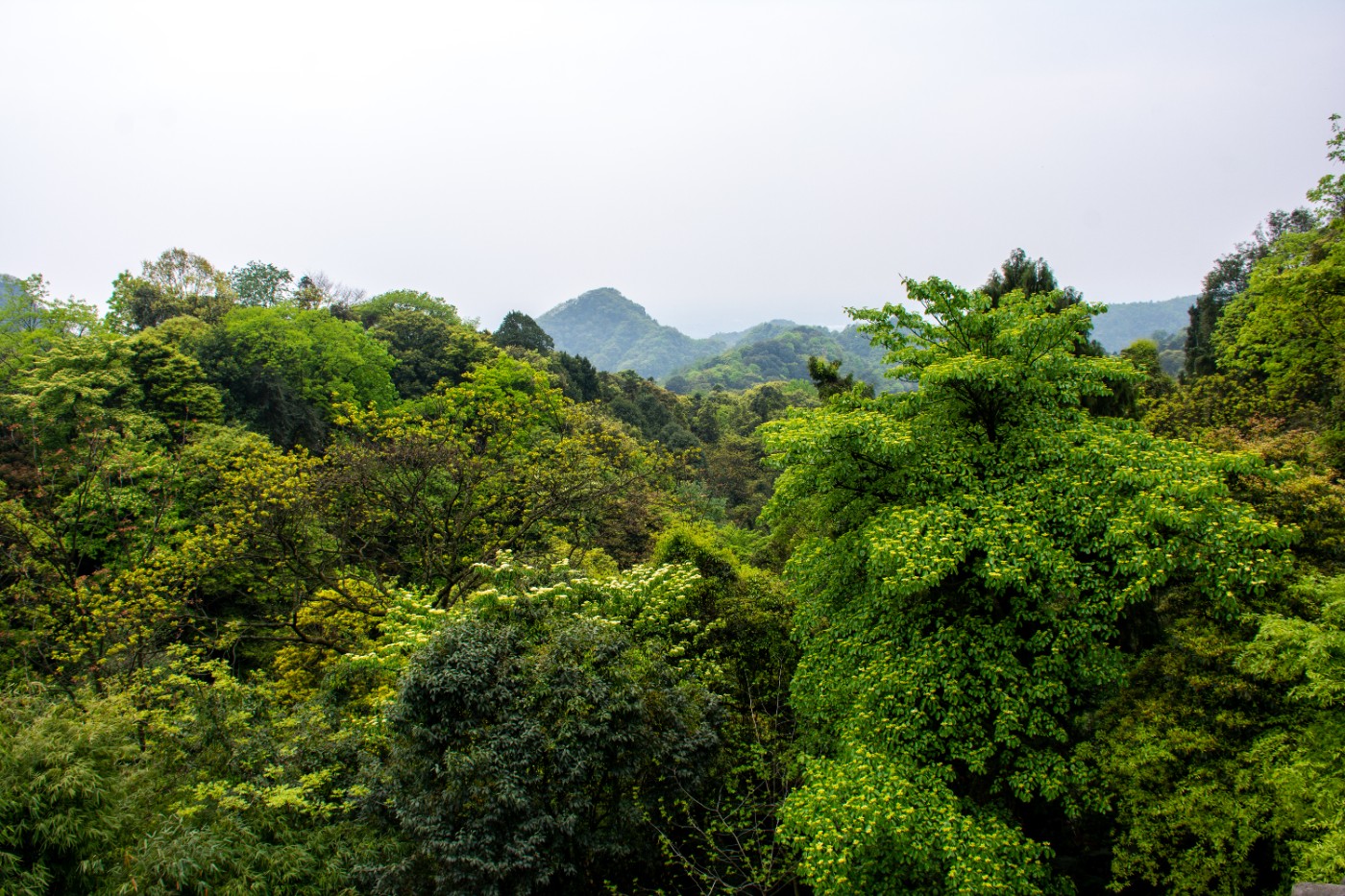 _DSC3664.jpg