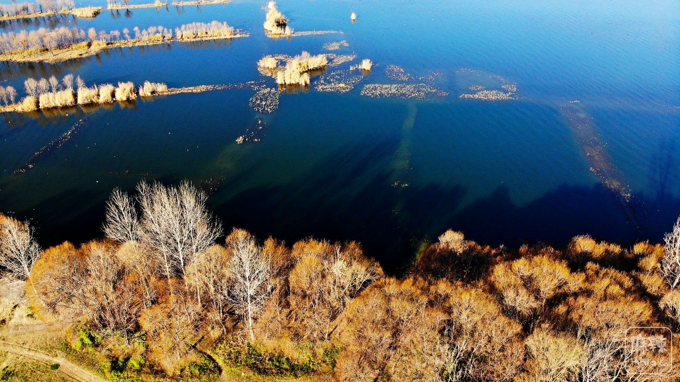 DJI_0936.JPG