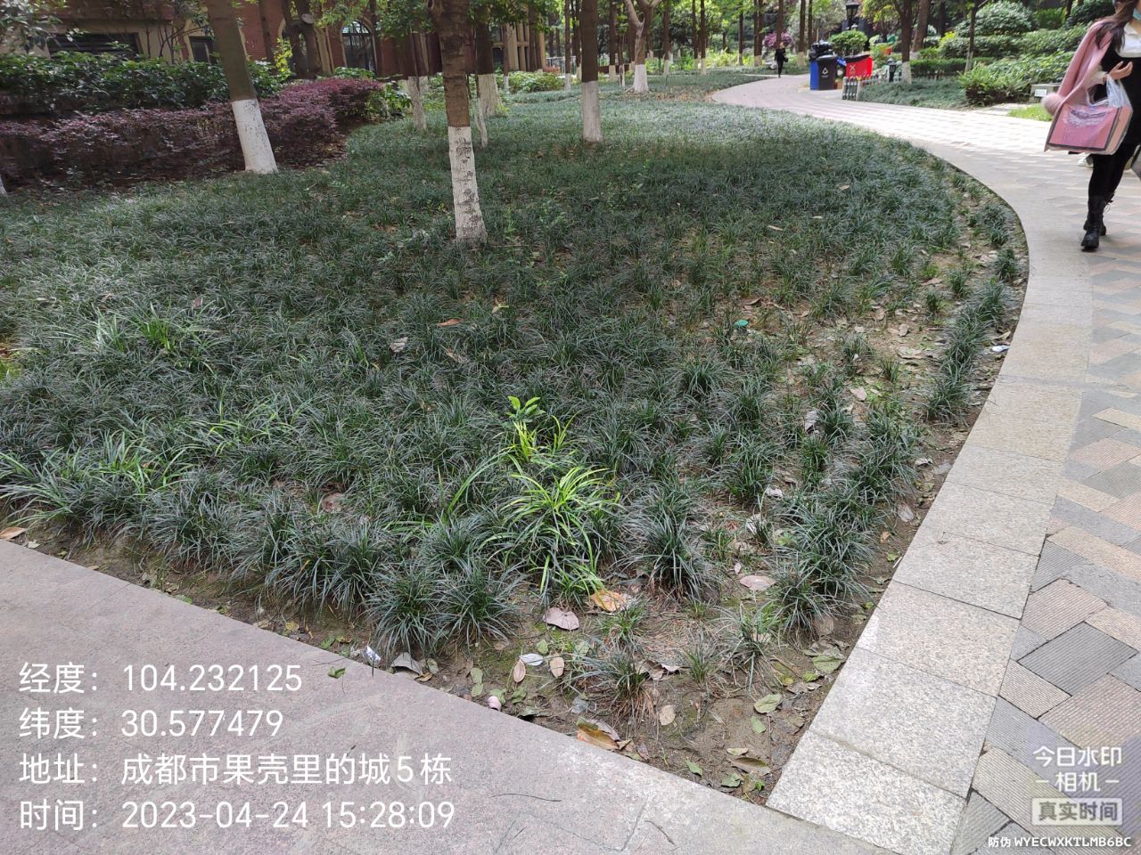 20230424153118front2_0_7842378_Fhr0pkzmLi2HU6Illgpneo_szt1l.jpg