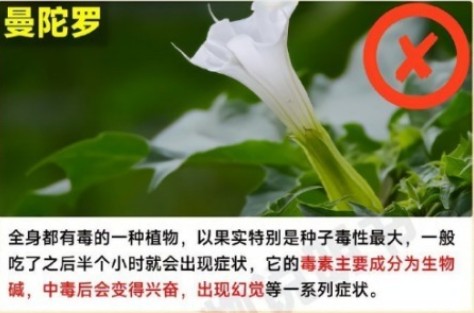 a4d68da7b333cd76b9fa0095cd86e59.png