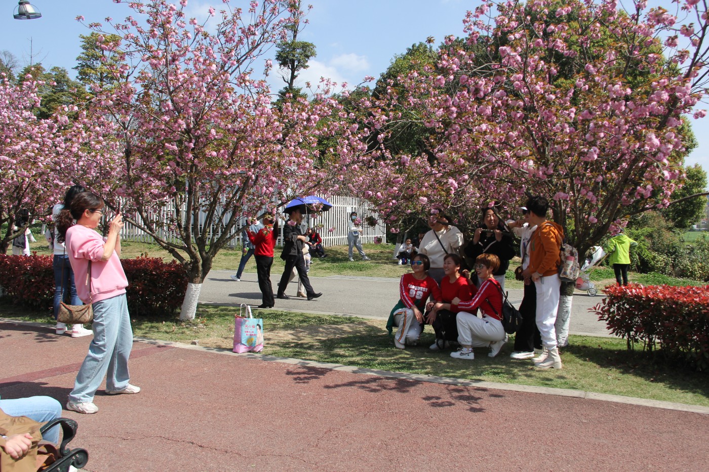 IMG_20230325_143805.JPG