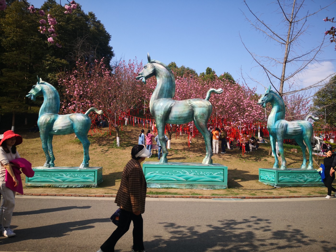 IMG_20230325_155856.jpg