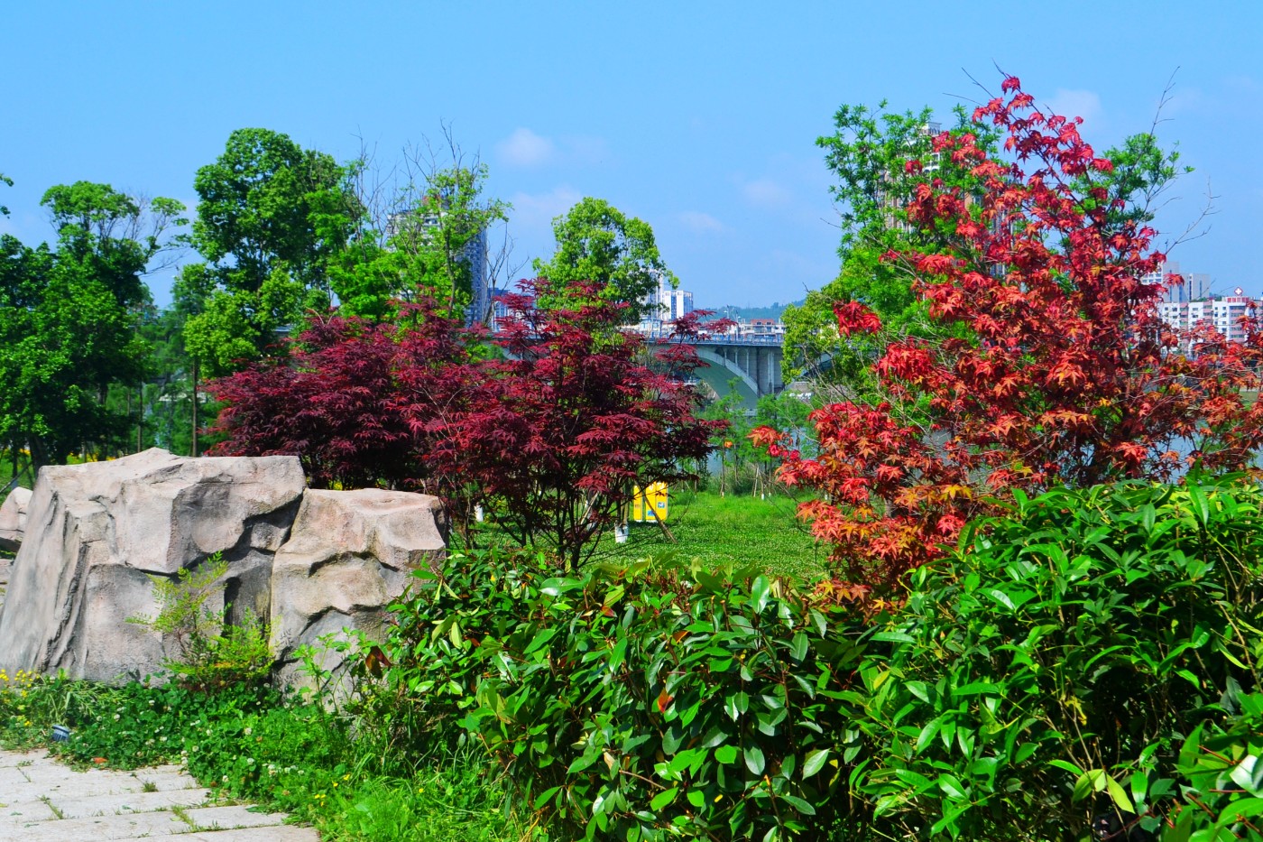 DSC_9056.JPG