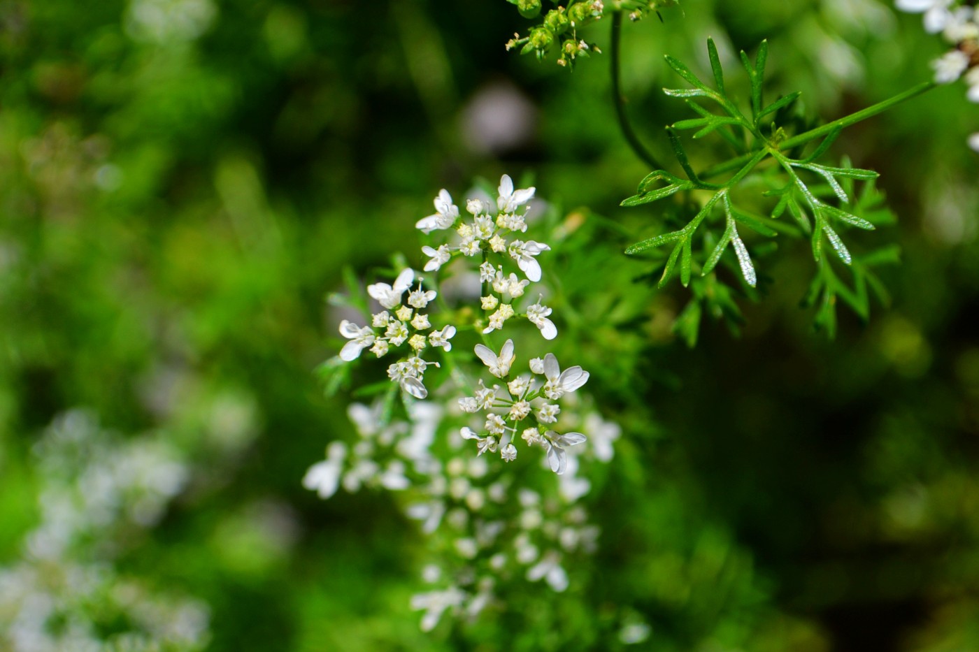 DSC_9428.JPG