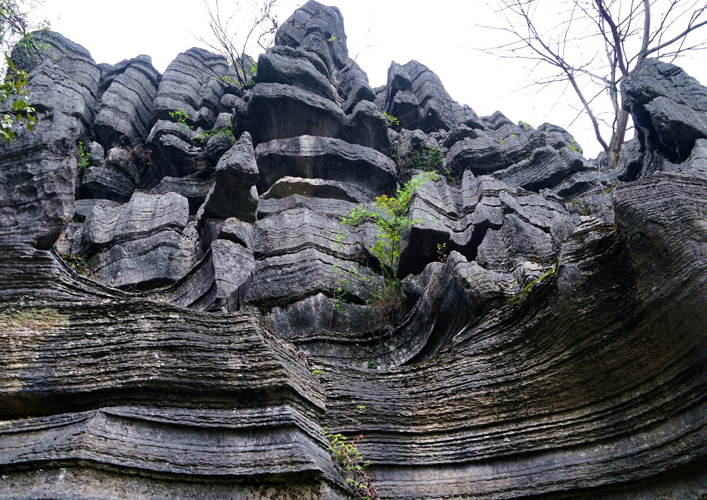DSC02948_.jpg