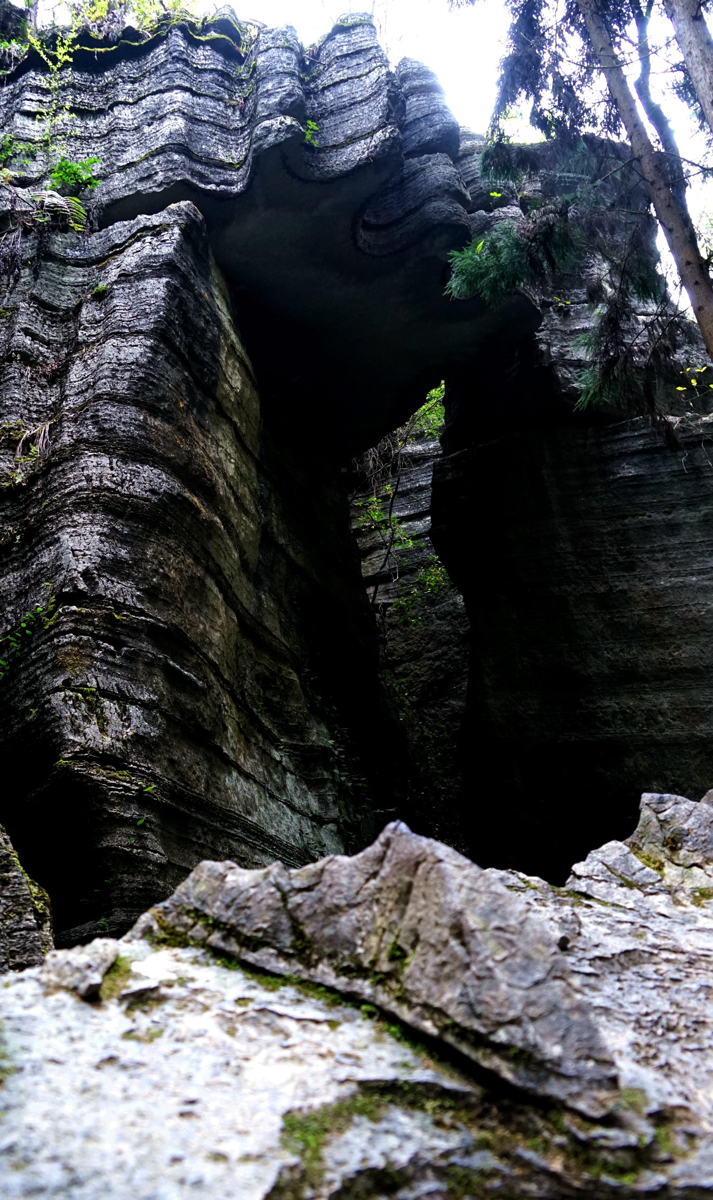 DSC03034_.jpg