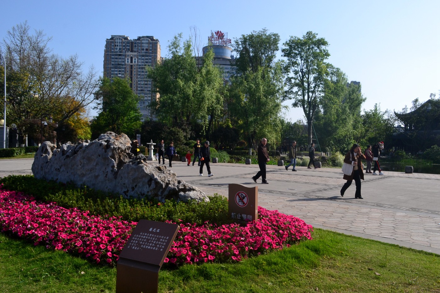 DSC_9168.JPG