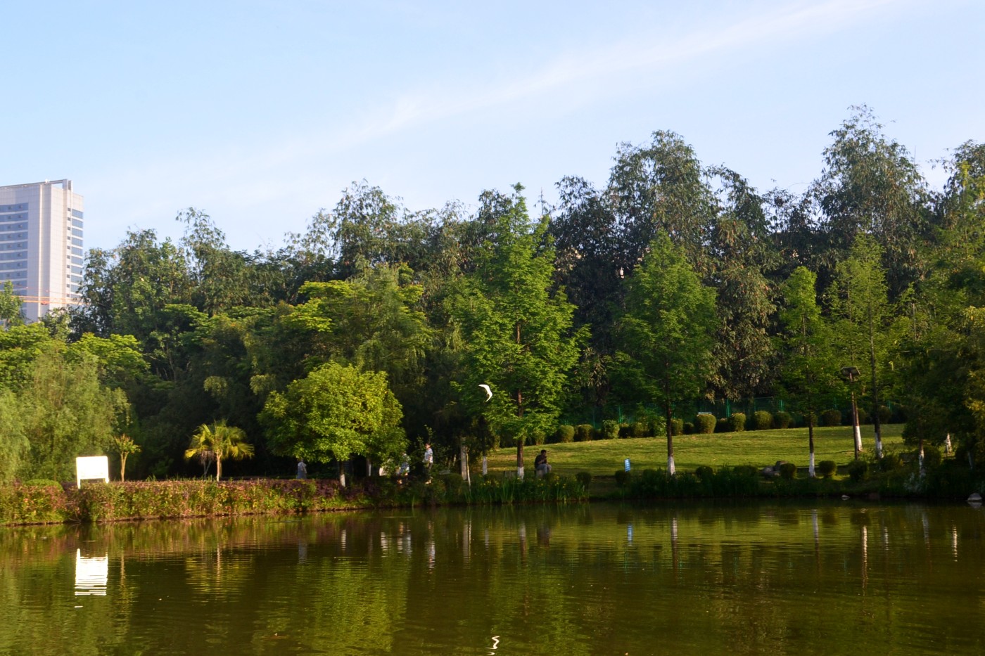 DSC_9514.JPG