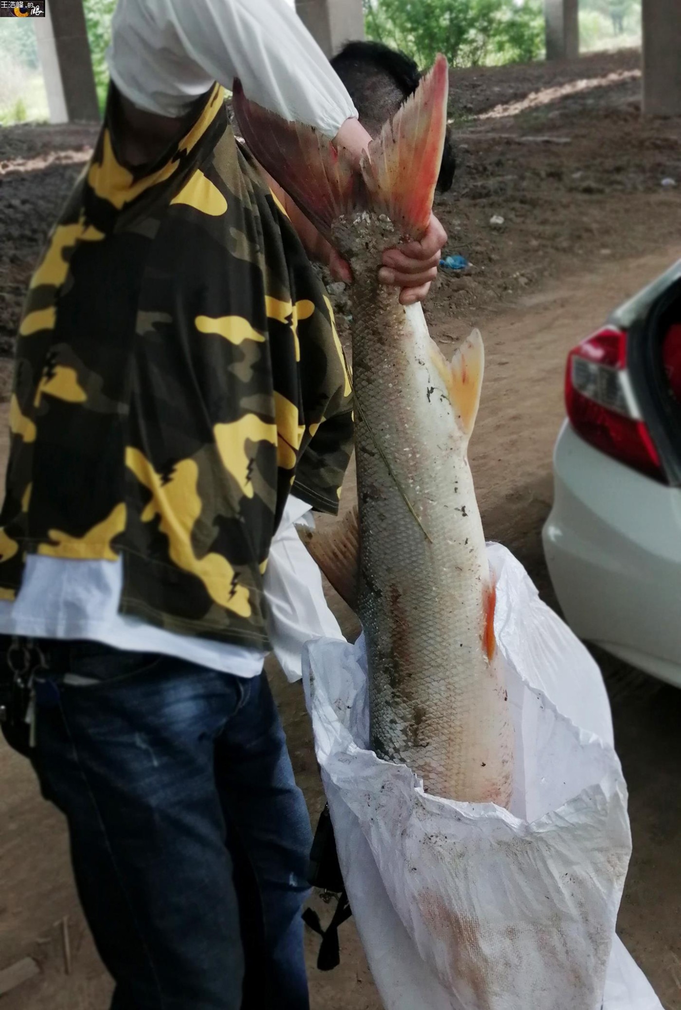 ê9.jpg